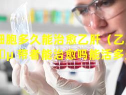 干细胞多久能治愈乙肝（乙肝携 🐵 带者能治愈吗能活多久长）